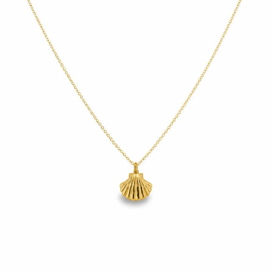 Santiago – Gold shell necklace